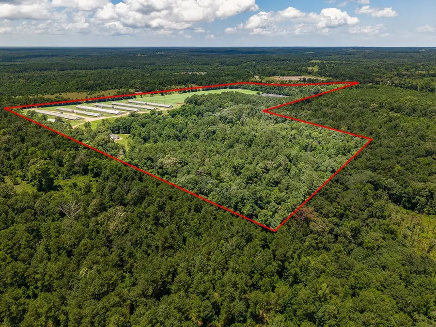 6080 Cr 203, San Augustine, TX 75972 - #2