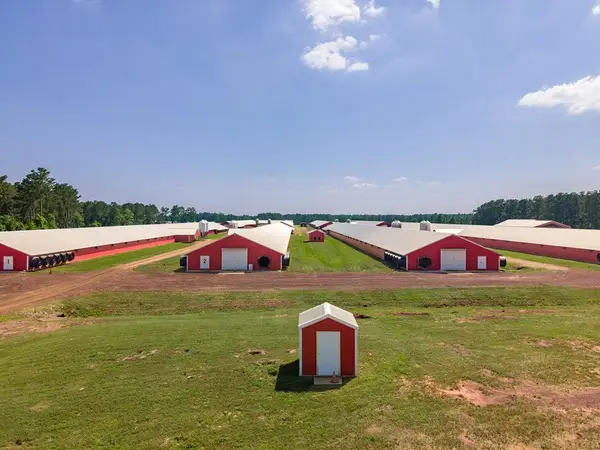 Farm 2 Cr 779, Douglass, TX 75943