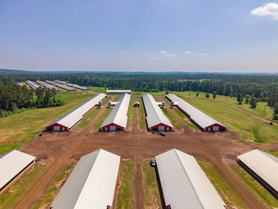 Farm 2 Cr 779, Douglass, TX 75943 - #3