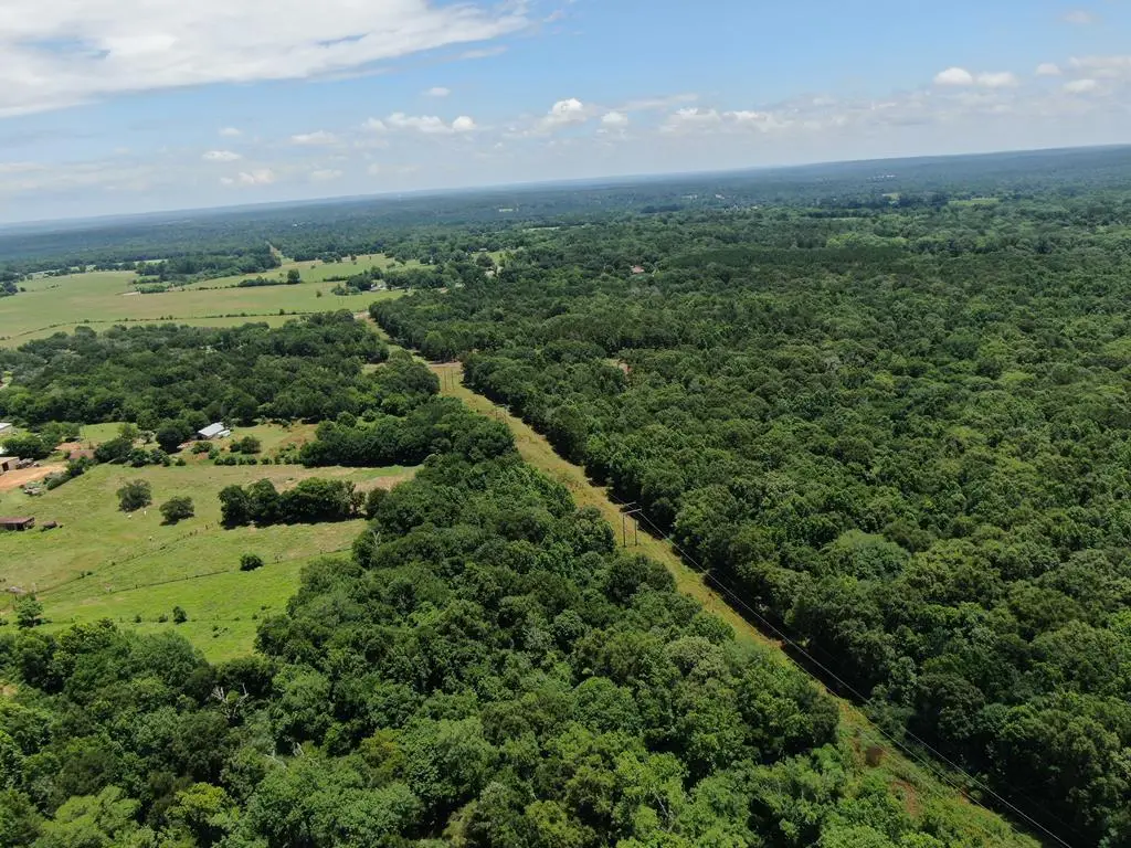 256 Pr 8841, Palestine, TX 75801 - #1
