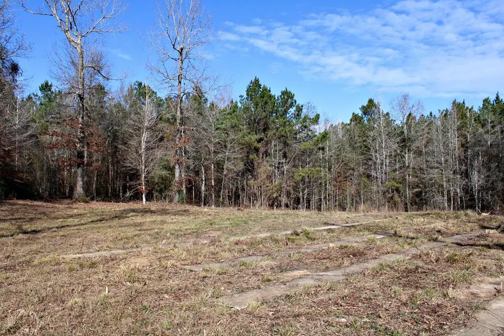 112679 County Road 1058, Wiergate, TX 75977 - #1