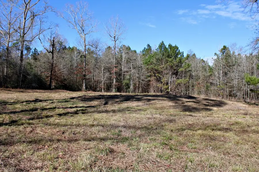 112679 County Road 1058, Wiergate, TX 75977 - #2