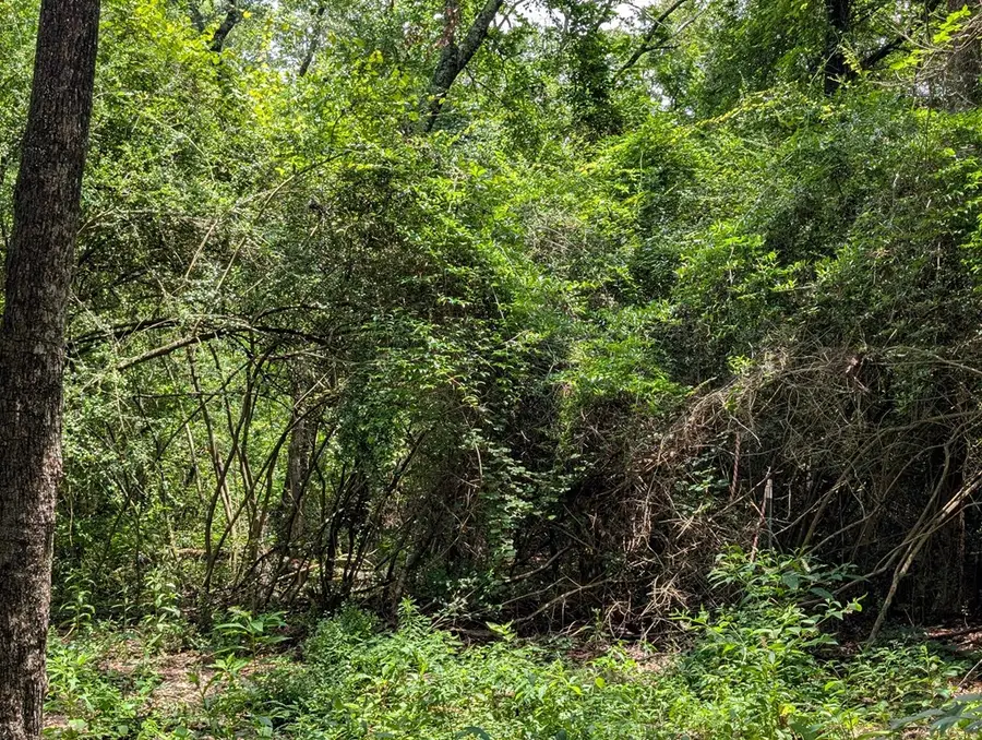 PID150630 Joyce Lane, Lufkin, TX 75901 - #3
