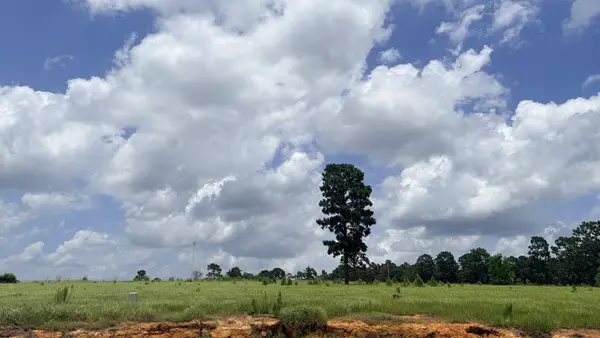LOT 246 Meadowview, Hillister, TX 75979