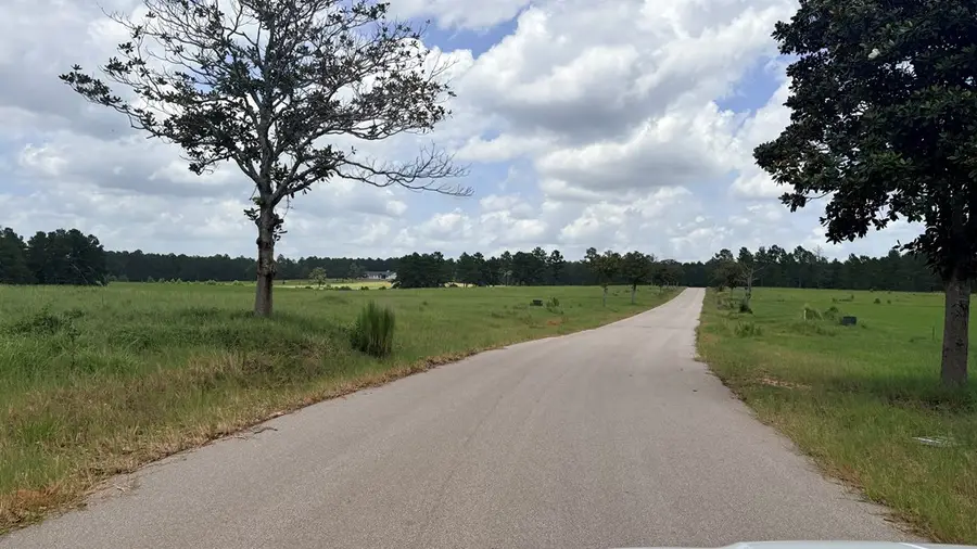 LOT 246 Meadowview, Hillister, TX 75979 - #2