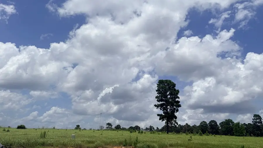 LOT 246 Meadowview, Hillister, TX 75979 - #3