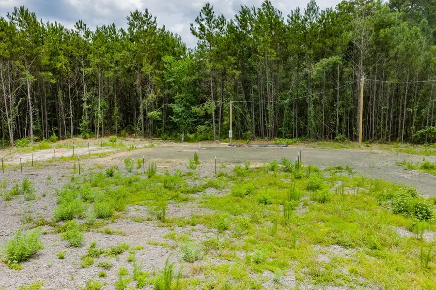 100 Bradshaw Drive E, Brookeland, TX 75931 - #3