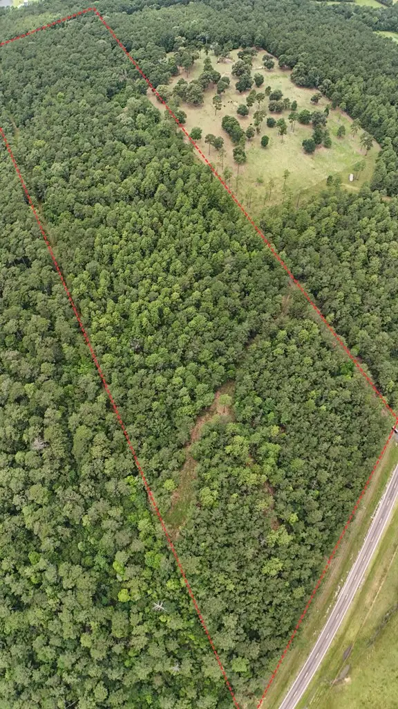 11168 Fm 1004 W, Buna, TX 77612 - #3