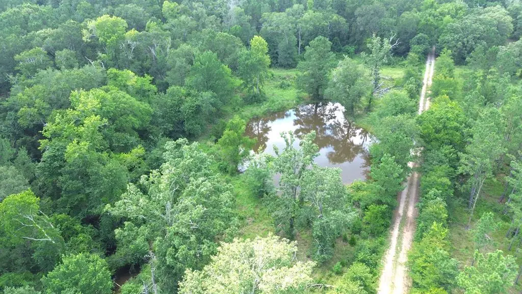 Parcel ID#12376 Cr 4030, Crockett, TX 75835 - #1