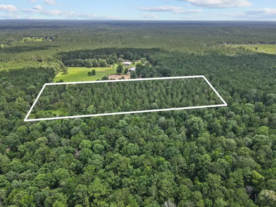 4012 Fm 2992, Woodville, TX 75979 - #3