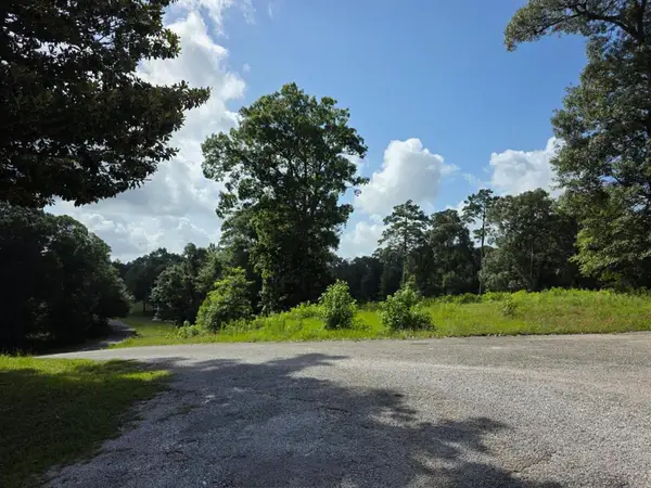 Lot 41 County Road 173, Jasper, TX 75951