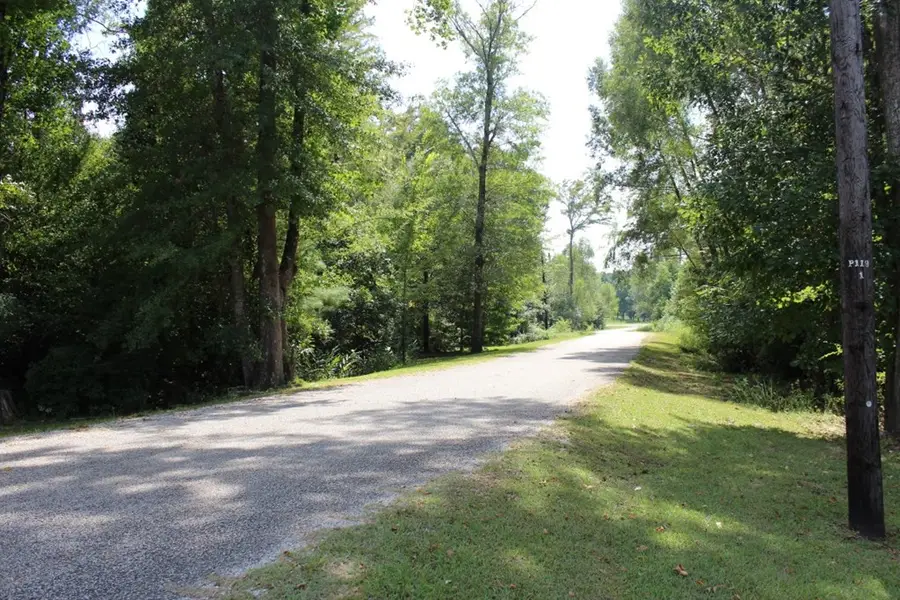 Lot 41 County Road 173, Jasper, TX 75951 - #3