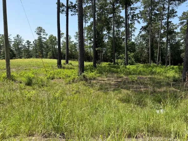 Lot 002 Private Rd 6028, Brookeland, TX 75931