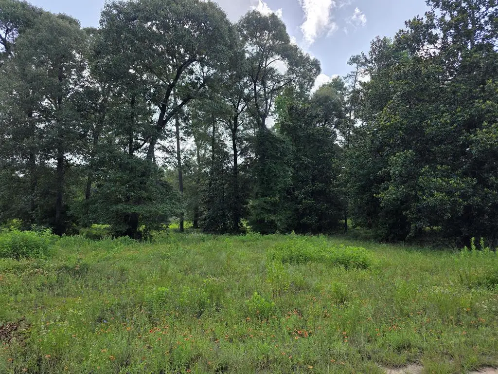 1038 County Road 173, Jasper, TX 75951 - #1