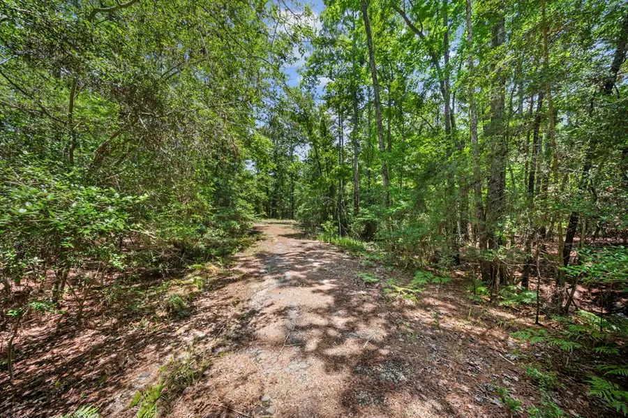 510 Deergrass Dr, Brookeland, TX 75931 - #2