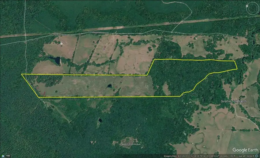 1289 Camp Springs Road, Hemphill, TX 75948 - #2