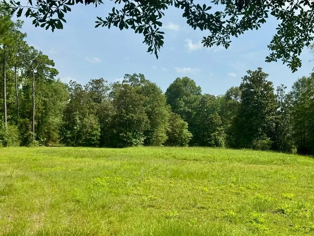R20035 Fm 1013, Hillister, TX 77624 - #1