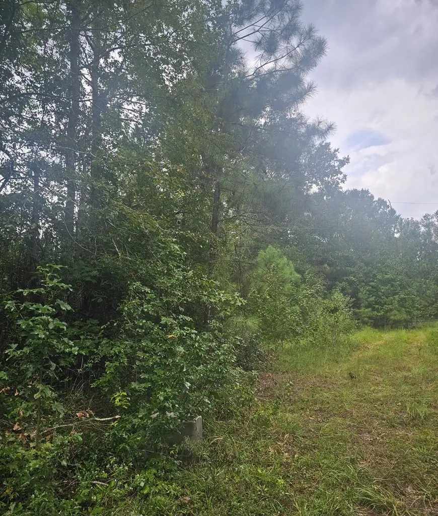 ID85614 Brentwood Drive, Lufkin, TX 75901 - #2