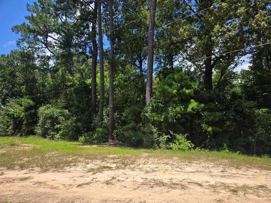 10994 Fm 692, Burkeville, TX 75932 - #3