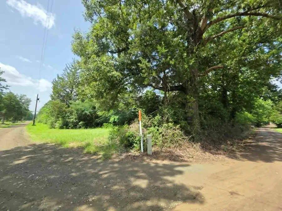 776 County Road 3685, Joaquin, TX 75954 - #3
