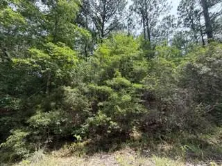 32539 Vantage Drive, Brookeland, TX 75931
