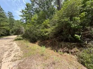 32539 Vantage Drive, Brookeland, TX 75931 - #2