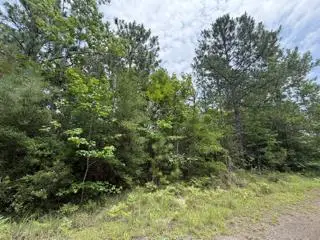 32531 Nicklaus Drive, Brookeland, TX 75931 - #1