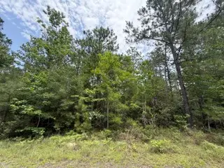 32531 Nicklaus Drive, Brookeland, TX 75931 - #2