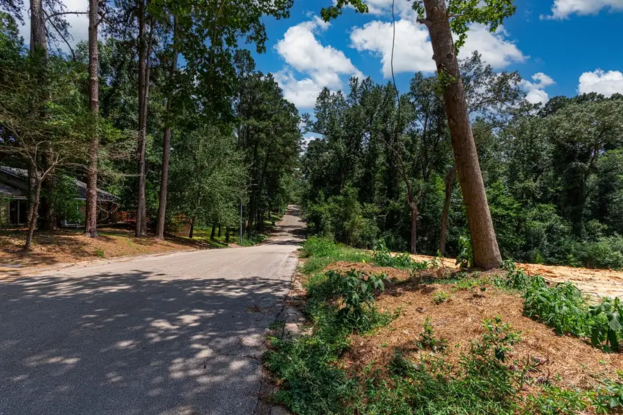 Lot 17 Pinecrest Drive, Nacogdoches, TX 75965 - #2