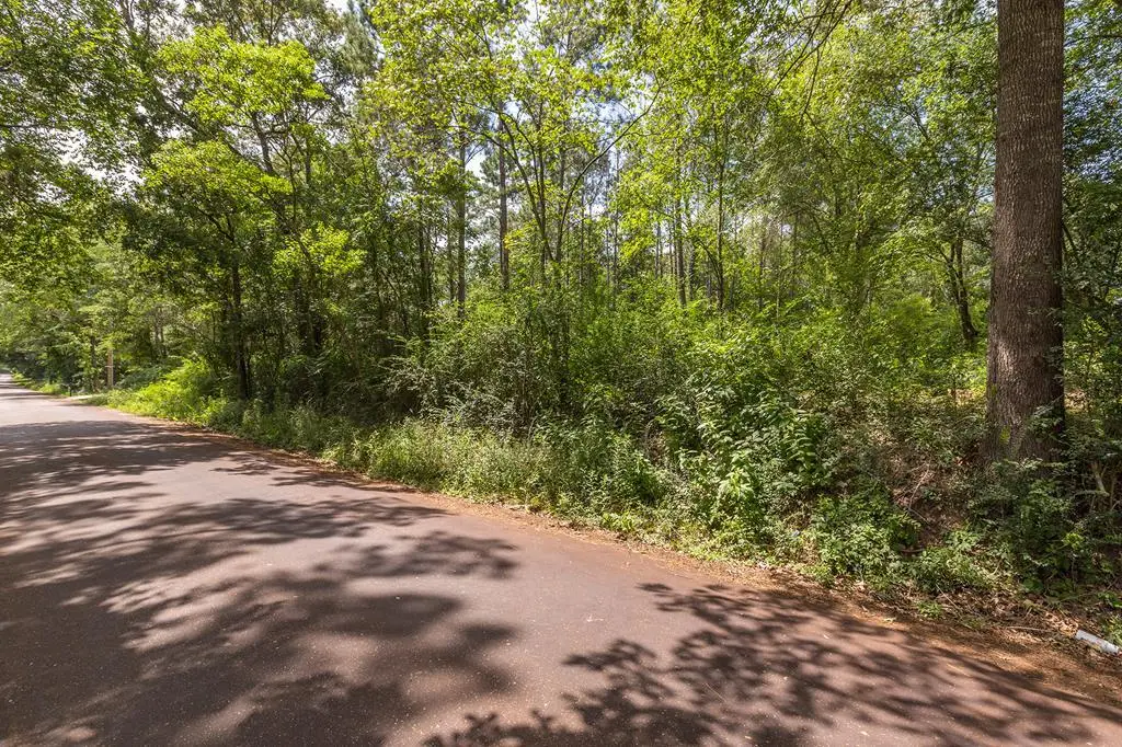 R154975 Old Homer Alto Road, Lufkin, TX 75901 - #1