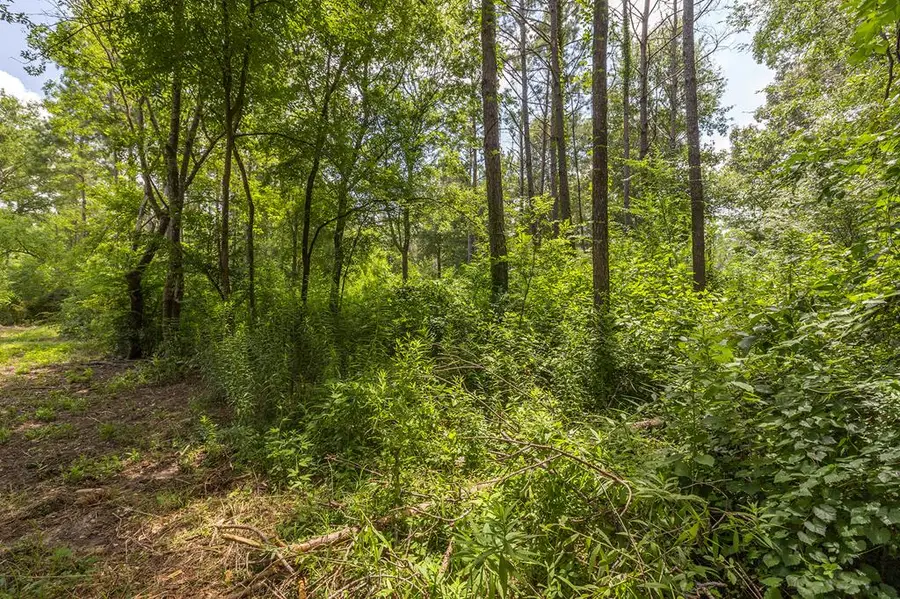 R154975 Old Homer Alto Road, Lufkin, TX 75901 - #2