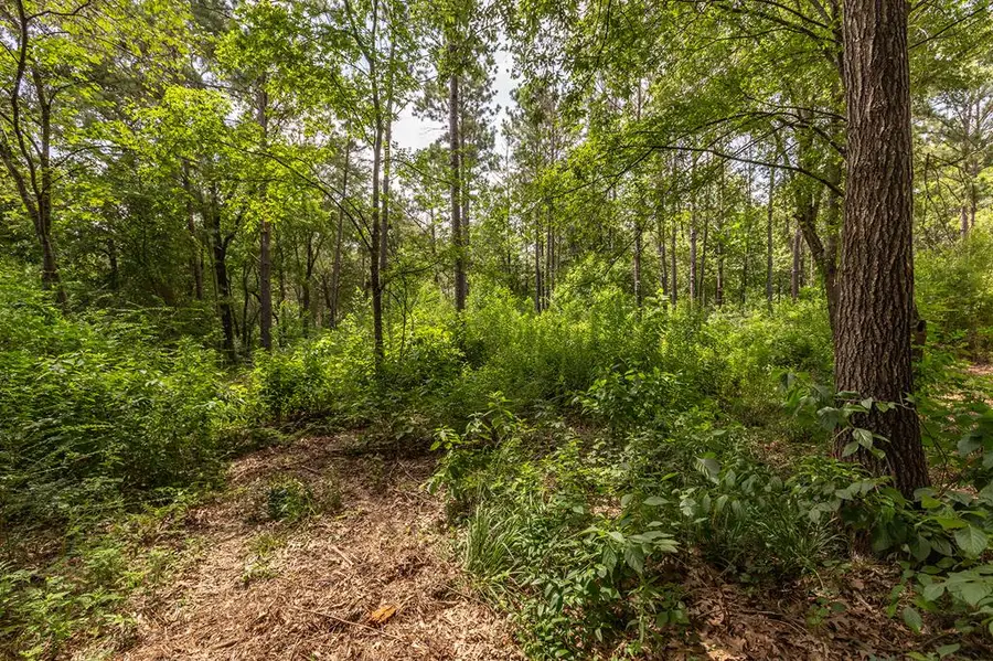 R154975 Old Homer Alto Road, Lufkin, TX 75901 - #3