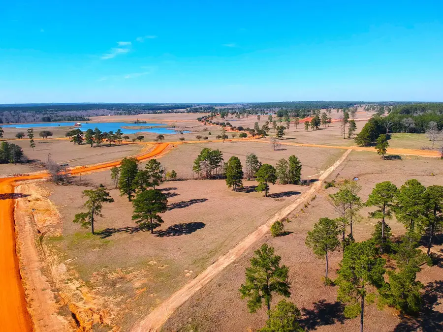 Lot 84 Lakeland Ranch, Hillister, TX 77624 - #3
