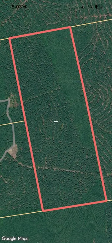 00 Cr 1051, Wiergate, TX 75977 - #2