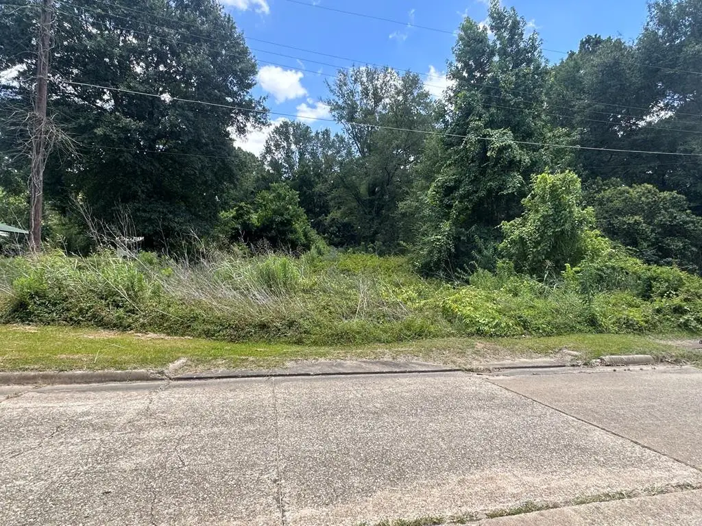 1355 Martin Luther King Jr. Drive, Center, TX 75935 - #1