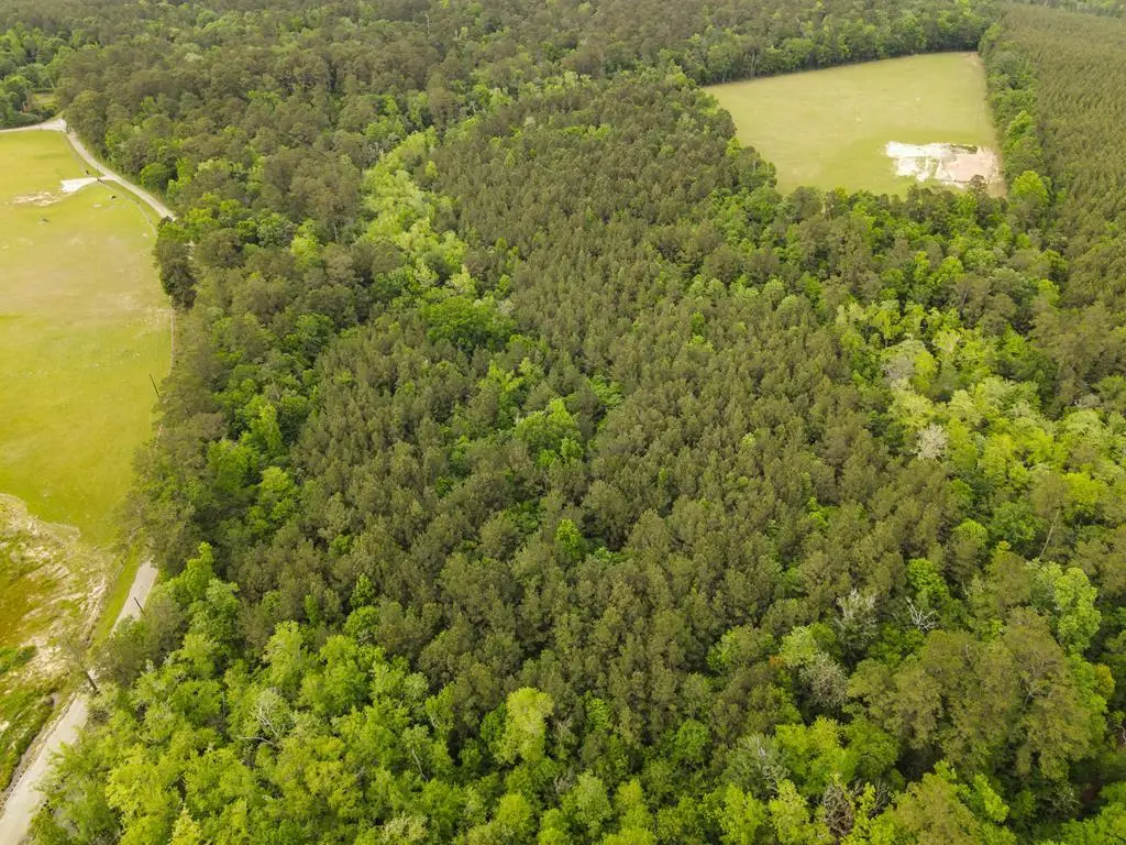 TBD County Road 451, Roganville, TX 75956 - #1