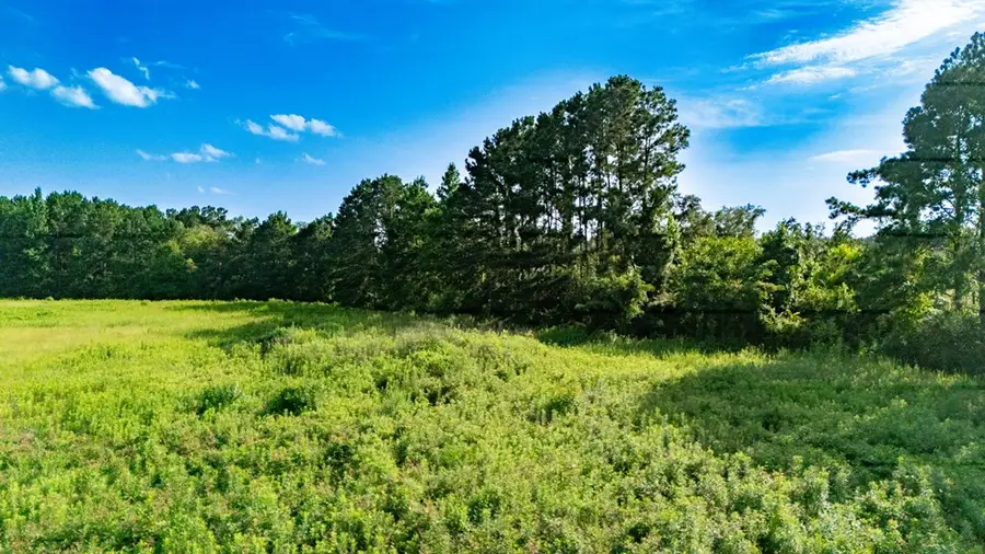 4656 Us Hwy 69 S, Lufkin, TX 75904 - #3