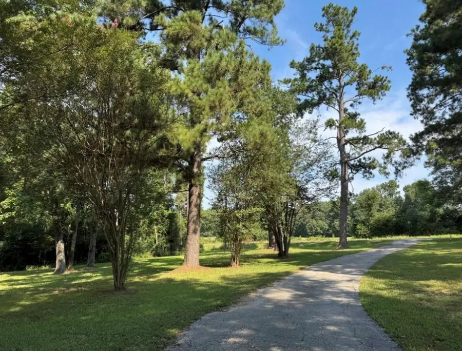 8268 Fm 2694, Shelbyville, TX 75973 - #2