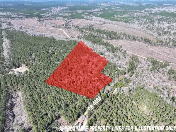 422 Couty Road, Bon Wier, TX 75928