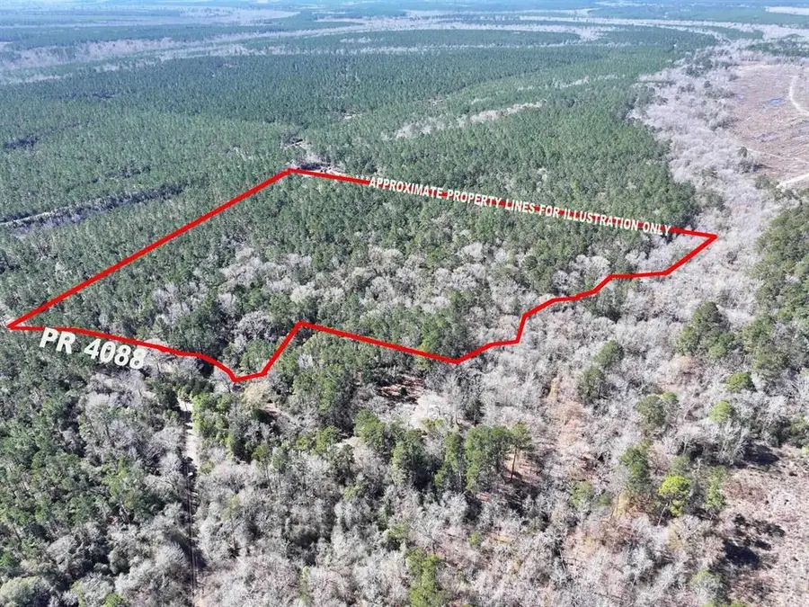 422 Couty Road, Bon Wier, TX 75928 - #2