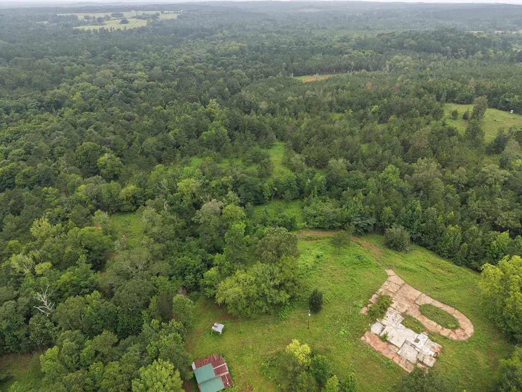 1370 Lickskillet Road, Milam, TX 75959 - #1