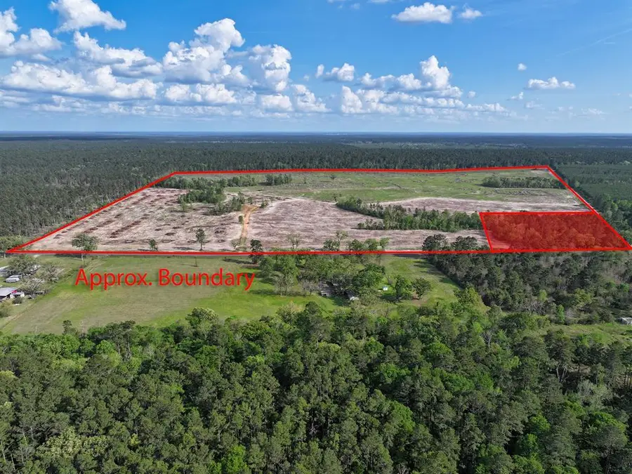 Lot 2 9770 N State Hwy 94, Groveton, TX 75845 - #2