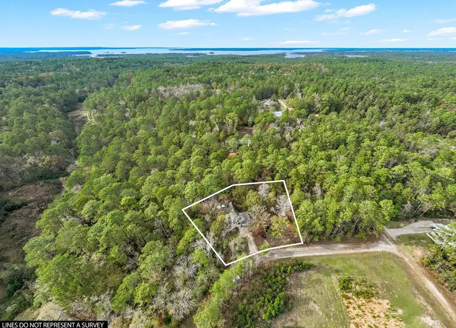 279 Angler Loop, Brookeland, TX 75931 - #2