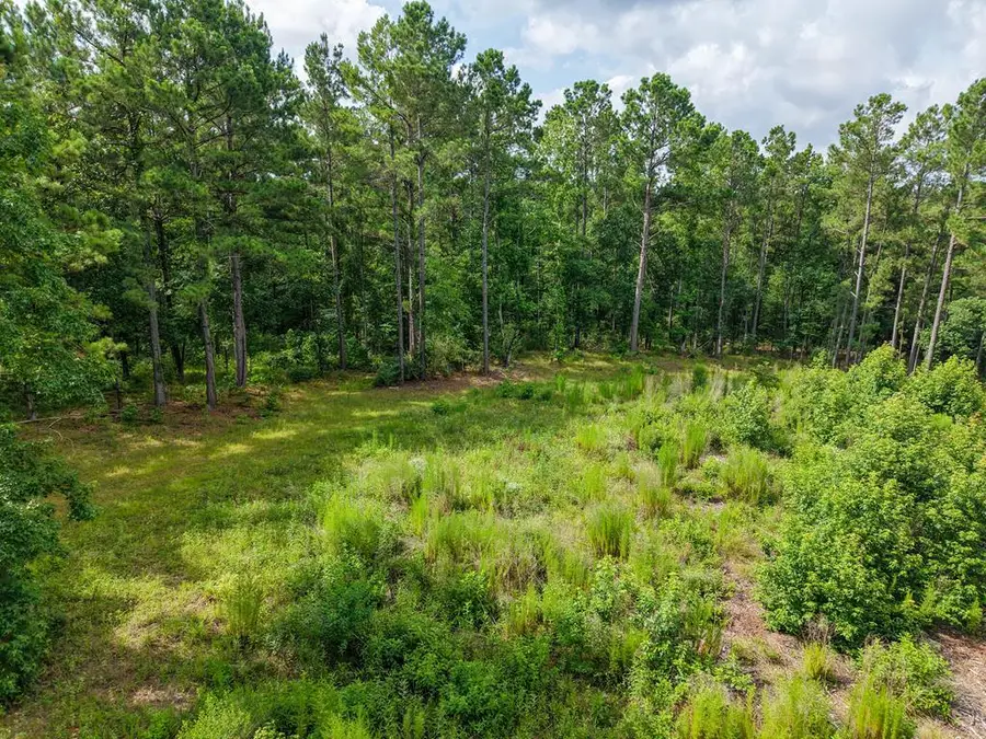 PID 3819, 8065 County Road 227, Kennard Ratcliff, TX 75847 - #2