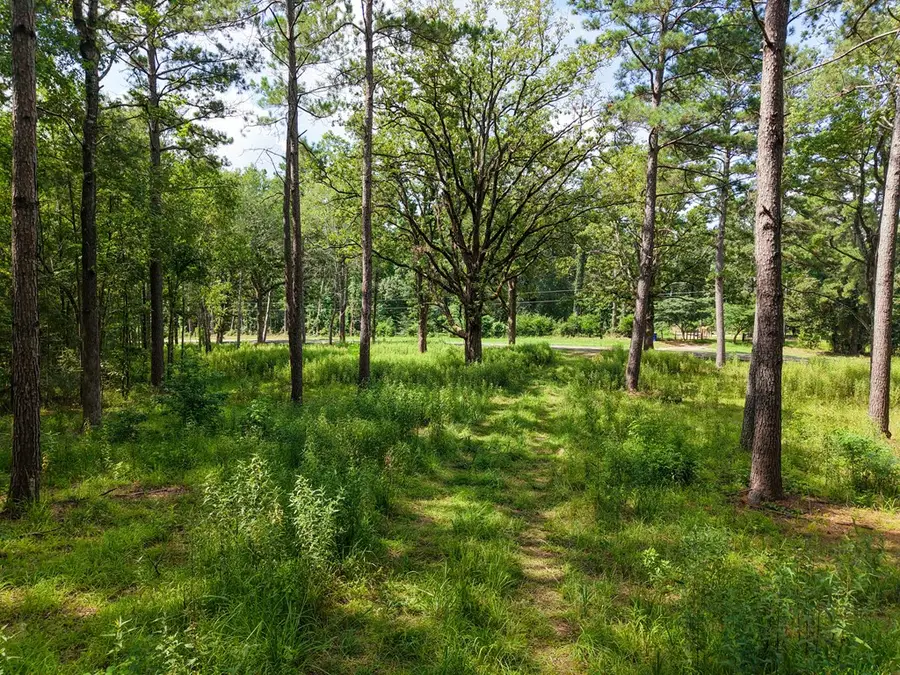 PID 3819, 8065 County Road 227, Kennard Ratcliff, TX 75847 - #3