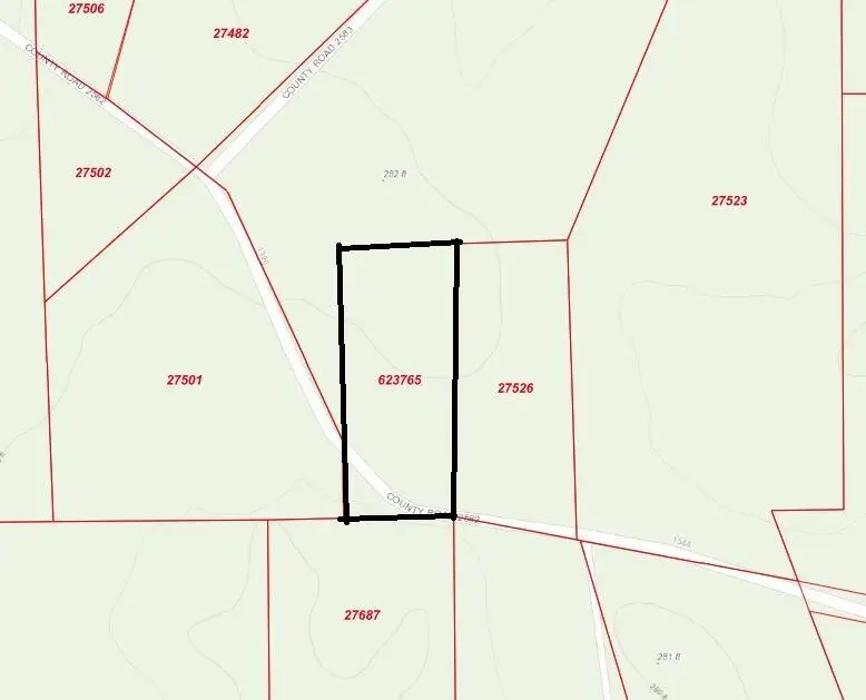 1519 County Road 2582, Shelbyville, TX 75973 - #3