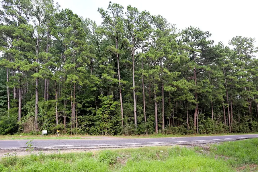 TBD Hwy 103e, Huntington, TX 75949 - #2