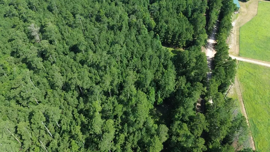 Parcel: 12636 Cr 4740, Kennard, TX 75847 - #3