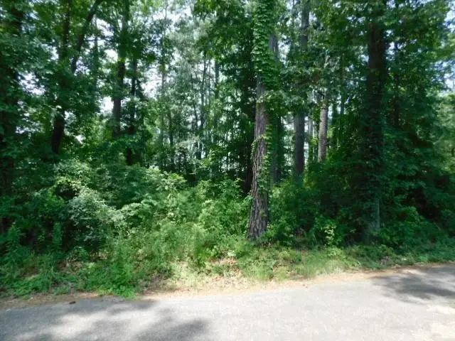 226 Helm Street, Hemphill, TX 75948 - #3