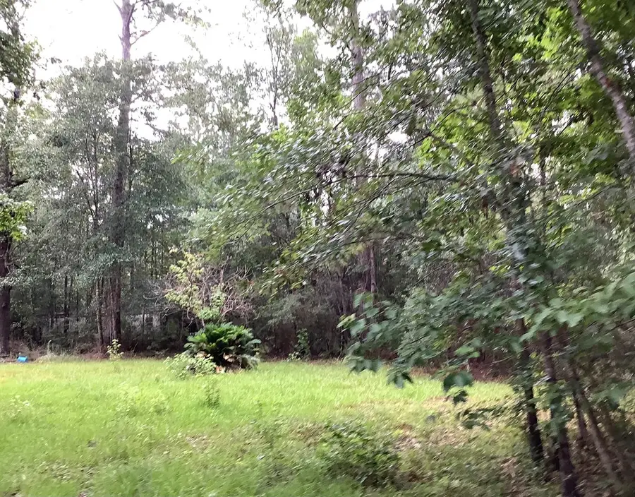 7360 Tx Hwy 62, Buna, TX 77612 - #2